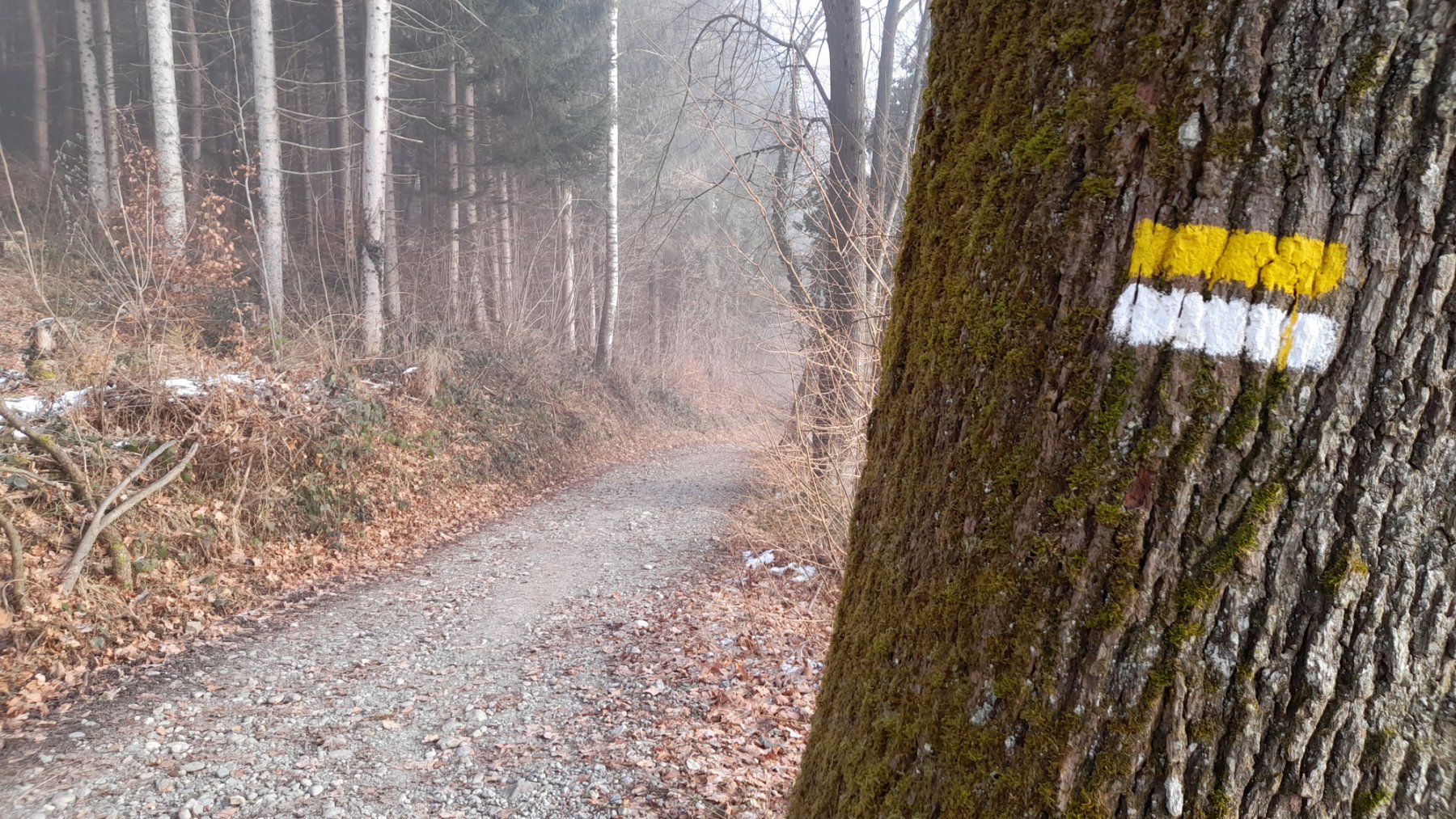 Wegmarken zum Ziel
